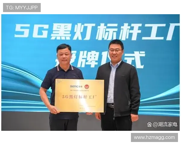 博阿阵容深度分析:核心竞争力如何推动球队迈向冠军目标